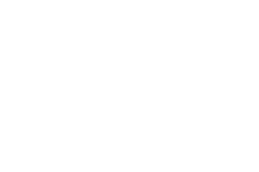 23rd Street Pawn logo