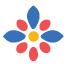Capi USA logo