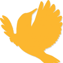 Caro logo