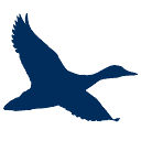 Chesapeake Bank logo