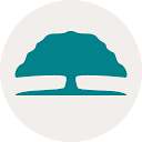 Citizens Debt Relief logo