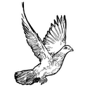 City logo