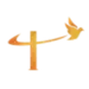 Debt Consolidation and Debt Relief Houston logo