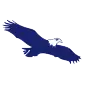 Eagle Finance logo