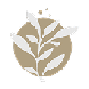 Kisch Law Firm logo