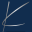 Klaproth Law PLLC logo