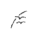 Lakeside Bank of Salina logo