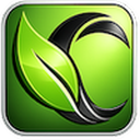 LifeLine Credit Solutions logo