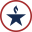 Lone Star logo