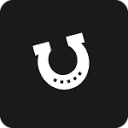 Lucky Pawn Jewelry logo