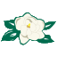 Magnolia State Bank logo