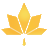 Maple City Savings Bank, FSB logo