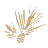 North State Bank logo