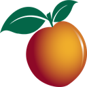 Peach State Federal Credit Union logo