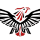 Platinum Credit Solutions logo