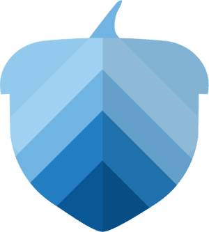 Rapid Bad Credit Loans logo