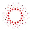 Real Enterprise Consulting LLC logo