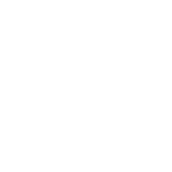 Security First logo