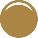 Silver Lining Jewelry & Loan logo
