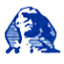 Sphinx Trading logo