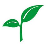 Spring Bank logo