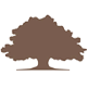 Texas Traditions Bank logo
