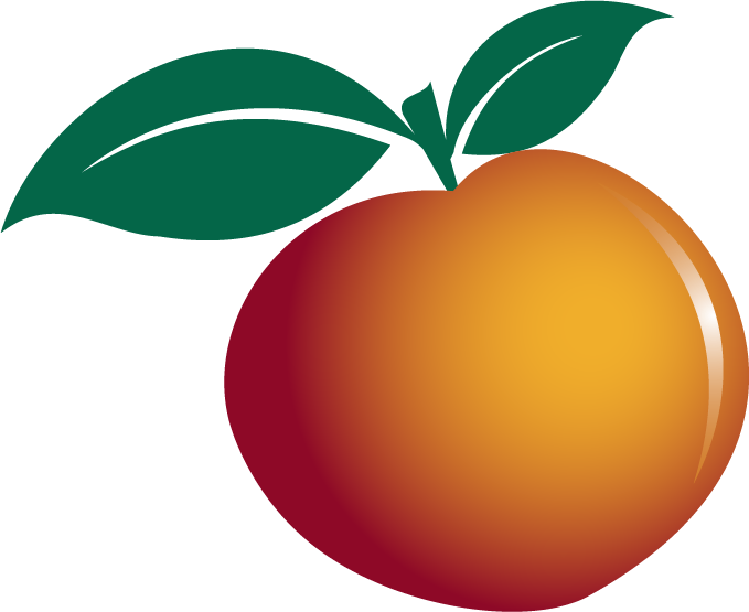 The Credit Doctor logo