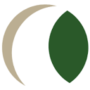 We Pay More Pawn logo